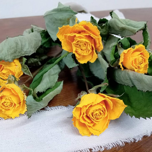 1️⃣ドライフラワー❣️訳あり スタンダードバラ 1️⃣ドライフラワー❣️訳あり スタンダードバラ 1️⃣ドライフラワー