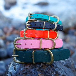 0823cb0a54c1593ef1047647e0a9ec