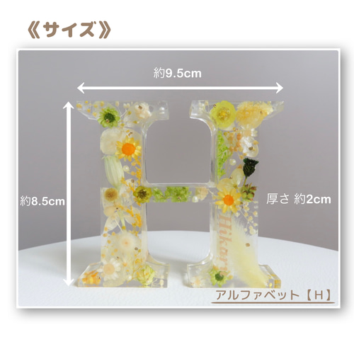 アルファベットH ハーバリウム イニシャルオブジェ《名入れ・背景