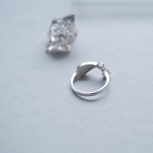 貓咪 戒指 (silver925) 第6張的照片