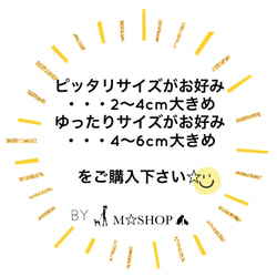 かんたん装着❤️ 名入れ 本革タグ付き＊ ポケット付き バンダナ クールバンダナ デニム オルテガ 首輪 ペット 犬 猫 5枚目の画像