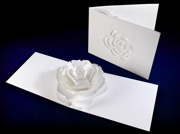 Blooming flower pop-up message card<Rose> 第1張的照片