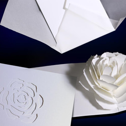 Blooming flower pop-up message card<Rose> 第4張的照片