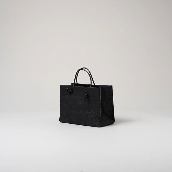 Mini Bag / Black**カルタレザー 1枚目の画像