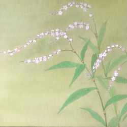 日本画 ショウブ 菖蒲 岩絵具 額付き 額なし選択可 Y002 - メルカリ
