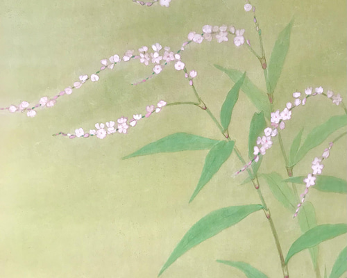 植物絵画　額入り 楽天市場】JHA 絵画 インテリア 額入り 額絵 植物 愉快な植物