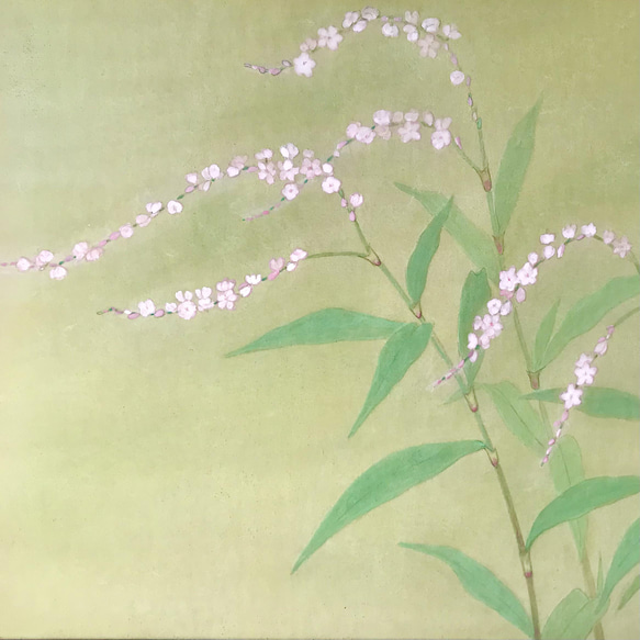 花 絵 植物画 癒し 優しい 額入り 日本画 『 桜たで 』秋 絵画 -YUKIKO