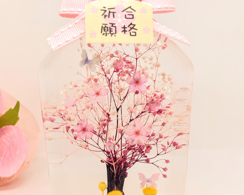 7079dd666df3c8d29cca0c734243b9