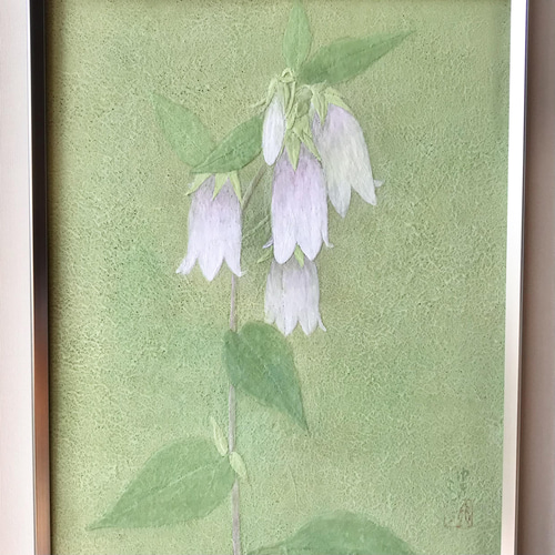 日本画 花の絵画 縦長　ホタルブクロ　岩絵の具　キャンバスアート 花 絵 植物画 癒し 優しい 額入り 日本画 『ホタルブクロ』 絵画