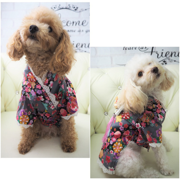 着物 和装 和柄 正月 七五三 成人式 トップス ドッグウェア 犬服 猫服 ペット 小型犬用 P166 3枚目の画像