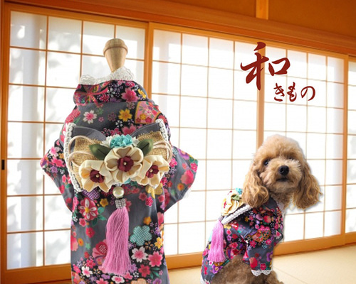 着物 和装 和柄 正月 七五三 成人式 トップス ドッグウェア 犬服