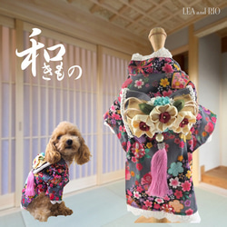 着物 和装 和柄 記念日 ひな祭り イベント トップス ドッグウェア 犬服