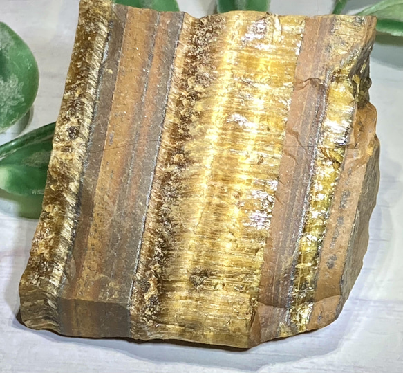 タイガーアイ 虎目石 原石 ラフストーン その他置物 東洋占星術師の娘