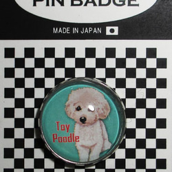 ピンバッジ トイプードル ピンバッチ ピンズ犬 ケース付き 3枚目の画像