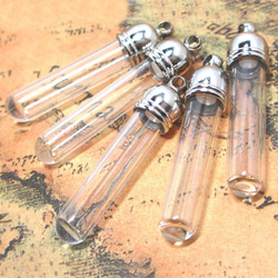 銀貨】庭猫 フィジー 2022年 1オンス シルバーコイン カラー版【純銀