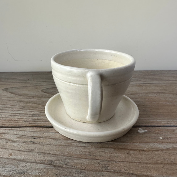 コーヒーカップ 植木鉢 2.5号 4枚目の画像