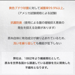 【再販×8‼️】蝶の羽デザイン(タイプ②)　L〜幼児用　サイズ・裏地も選べる　※抗菌不織布縫込み可(別途料金) 19枚目の画像