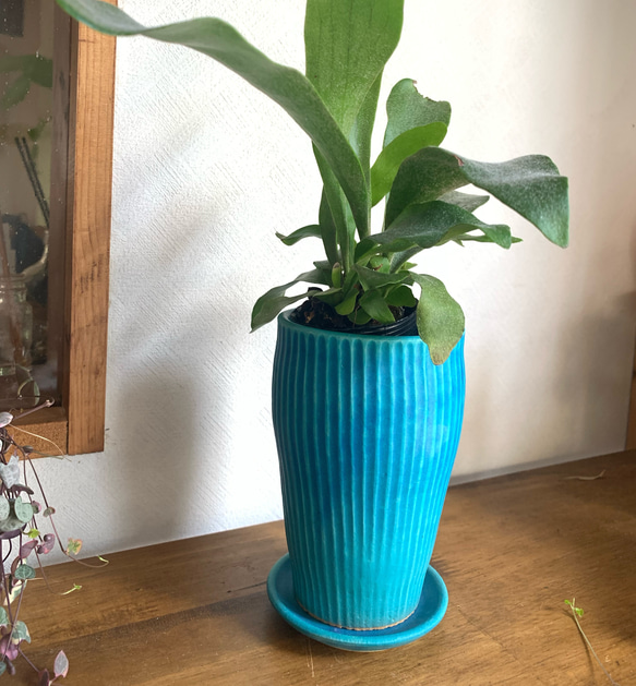 2 植木鉢 受け皿付き ターコイズブルー 一輪挿し・花瓶・花器 mayumi