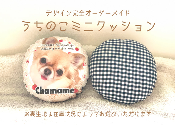 うちのこミニクッション/オーダーメイド/ハンドメイド/うちのこグッズ  