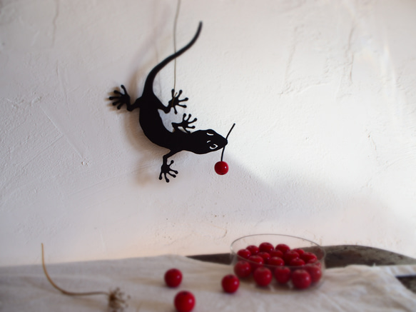 アイアンヤモリ  noie Gecko's Red Fruit 2020 3枚目の画像