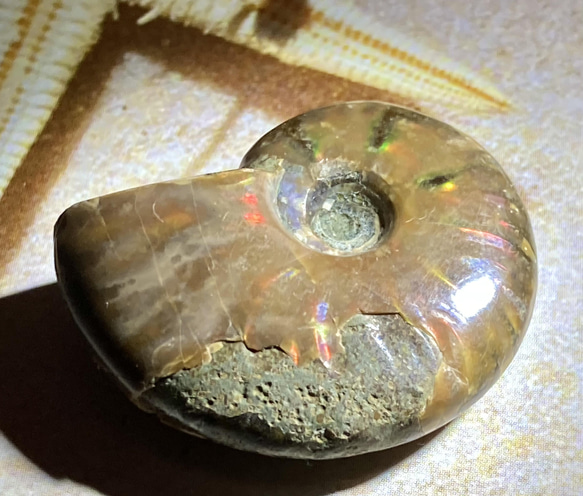 【希少】オパール　アンモナイト　化石 1枚目の画像