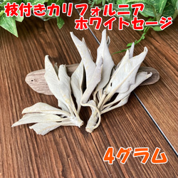 セール‼︎20％オフ‼︎ 六芒星モリオンの最強魔もの除けで災いを寄せ付けない/モリオン六芒星/天然石ブレスレット 7枚目の画像