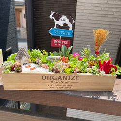 ★多肉植物　寄せ植え〜手作り木製HOUSE うさぎさんのお家寄せ〜★ ☆多肉植物 寄せ植え〜手作り木製 うさぎさん木箱〜☆ 受注制作