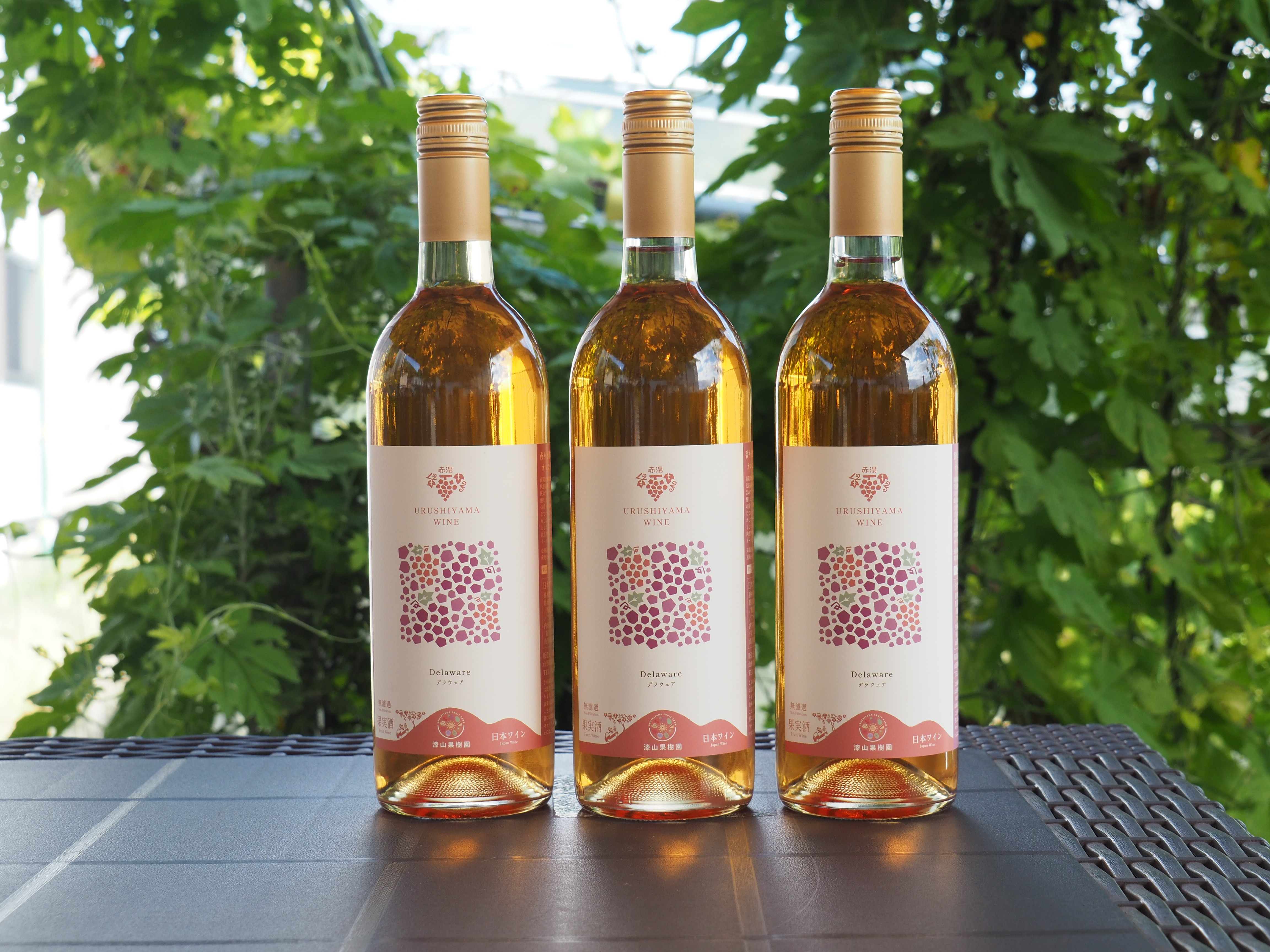 漆山ワイン3本セット(デラウェア無濾過)