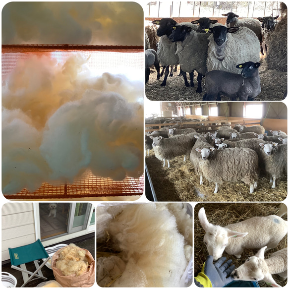 【素材のおすそ分け】北海道産羊毛 天然色 手紡ぎ フェルトクラフト 織 10g 12枚目の画像