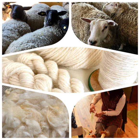 【素材のおすそ分け】北海道産羊毛 天然色 手紡ぎ フェルトクラフト 織 10g 7枚目の画像