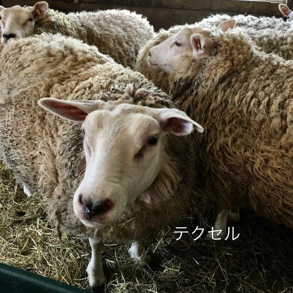 【素材のおすそ分け】北海道産羊毛 天然色 手紡ぎ フェルトクラフト 織 10g 5枚目の画像