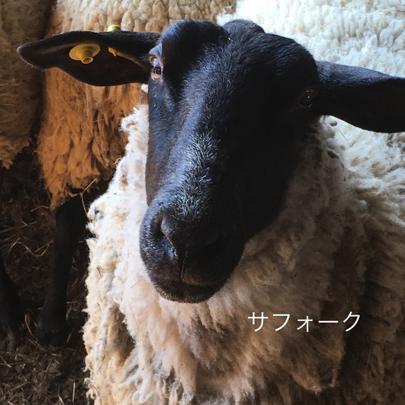 【素材のおすそ分け】北海道産羊毛 天然色 手紡ぎ フェルトクラフト 織 10g 4枚目の画像