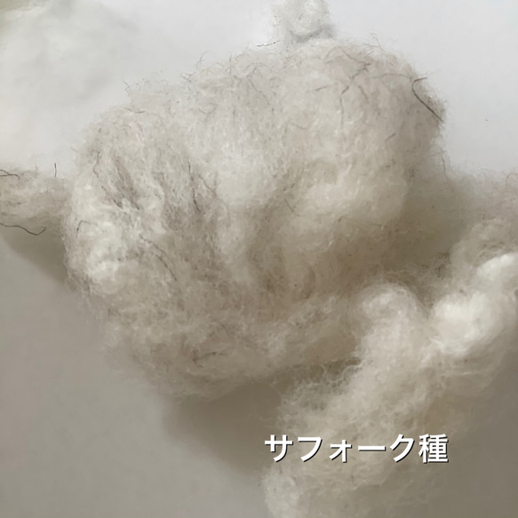 【素材のおすそ分け】北海道産羊毛 天然色 手紡ぎ フェルトクラフト 織 10g 10枚目の画像