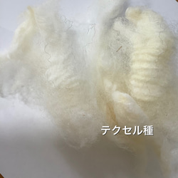 【素材のおすそ分け】北海道産羊毛 天然色 手紡ぎ フェルトクラフト 織 10g 11枚目の画像