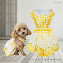 ワンピース 可愛い チェック トップス フレア レース ドッグウェア
