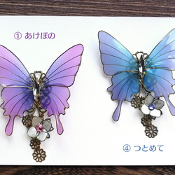 Four seasons butterfly hair clip 第7張的照片