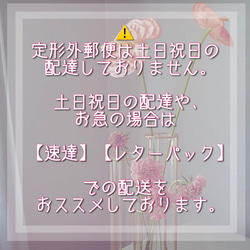 ☆ご注文前に必ずお読み下さい☆ 11枚目の画像