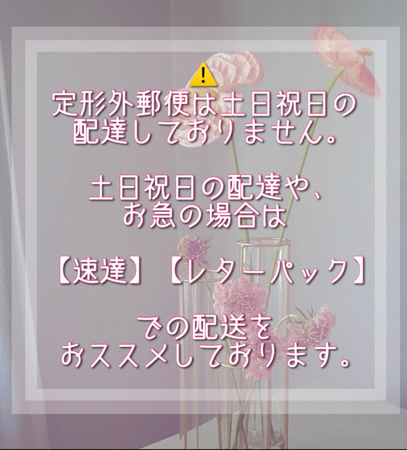 ☆ご注文前に必ずお読み下さい☆ 11枚目の画像