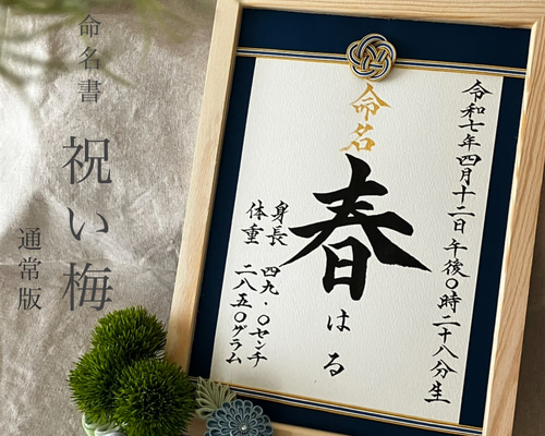 命名書オーダー 水引フレーム「祝い梅」通常版 雑貨・その他 kouran(江