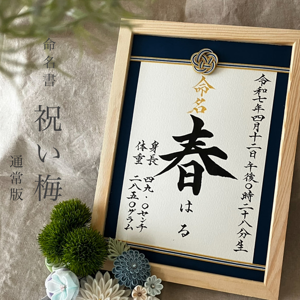 命名書オーダー 水引フレーム「祝い梅」通常版 雑貨・その他 kouran(江