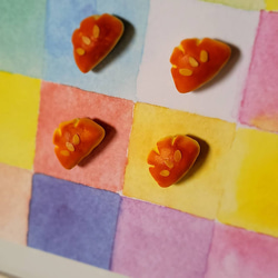  第5張的照片