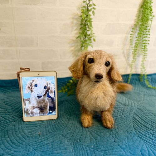 オーダー ダックスフンド 羊毛フェルトダックス♡うちの子そっくり