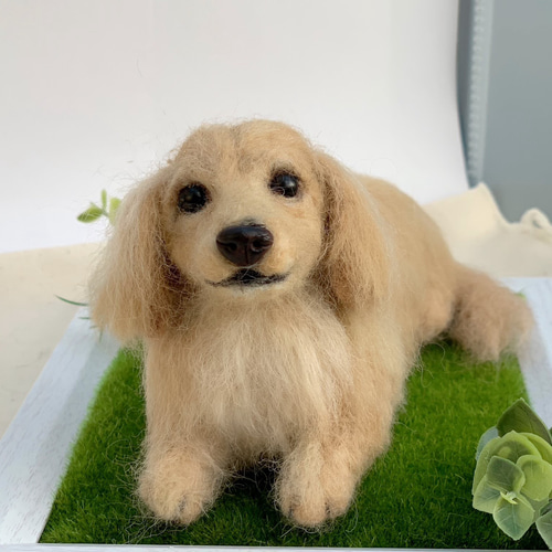 オーダー ダックスフンド 羊毛フェルトダックス♡うちの子そっくり