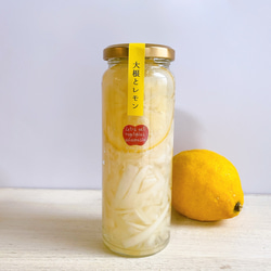 食べられるハーバリウム！浜松産大根とレモンの爽やかなピクルス　 1枚目の画像