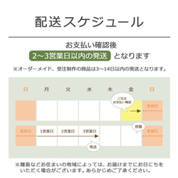 ピンク菊とミモザの髪飾り　水引 17枚目の画像