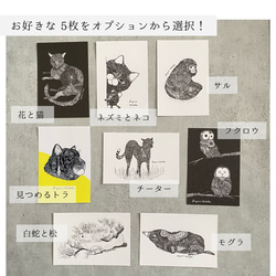 モノクロ動物ポストカード　５枚セット　(絵柄が選べます♪) 6枚目の画像