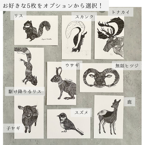モノクロ動物ポストカード 5枚セット (絵柄が選べます♪) ポスト
