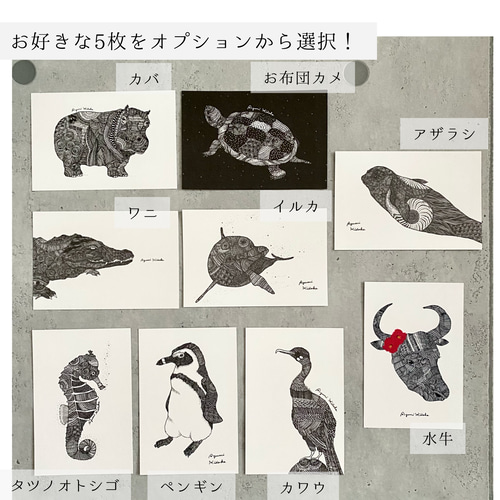 モノクロ動物ポストカード 5枚セット (絵柄が選べます