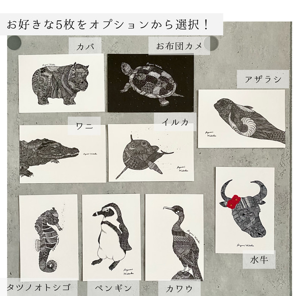 モノクロ動物ポストカード　５枚セット　(絵柄が選べます♪) 4枚目の画像