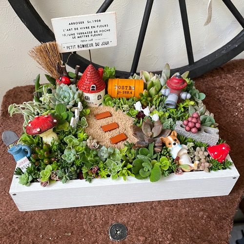 プレゼントにも〜受注制作 わんちゃんガーデン箱庭風多肉植物